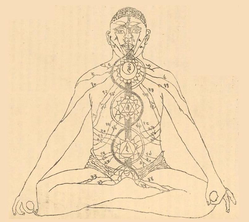 Naadi Shakti Vidya course